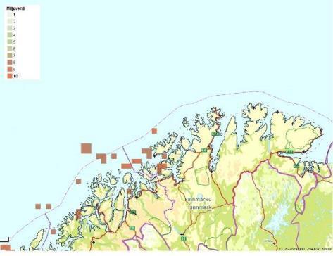 arter som ikke forekommer i andre naturtyper (Miljødirektoratet, 2014). På samme måte som korallrevene vokser de langsomt. Forekomster av hornkorall i Barentshavet er vist i Figur C-50.