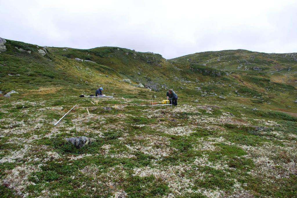 741 Utprøving av metodikk for overvåking av effekter av atmosfærisk tilført nitrogen på fattig