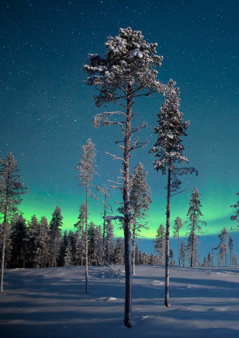 >> I fokus Norge Norge» Befolkning (18 79 år)» Andel som har tilgang til internett» Andel som handler på nett minst én gang per år 1» Andel som handler på nett minst én gang i måneden 1» Andel som