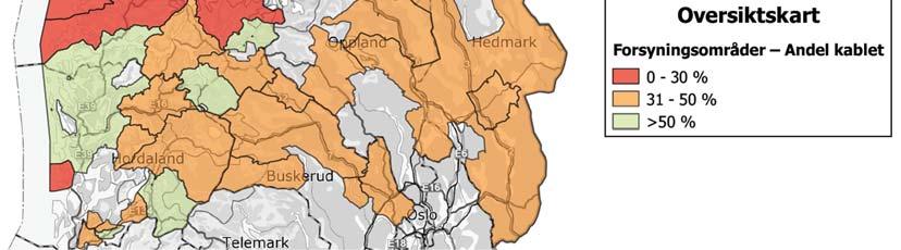 Årdal Energi skiller seg noe ut blant disse selskapene ved å ha en høyere kablingsgrad enn naboene.