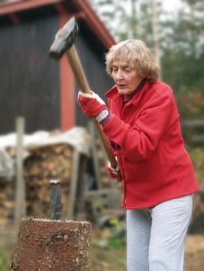 Marie Hansen..? 83 år Atrieflimmer + hypertensjon Marevan, Selo-Zok, Atacand Godt funksjonsnivå. Bor med ektemann. Ingen offentlig hjelp.