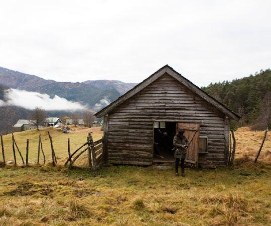 DRIFTSBYGGET DAVIDHAUGEN DYRVEDALEN ELJE GJERNES GRAUO SKUTLE