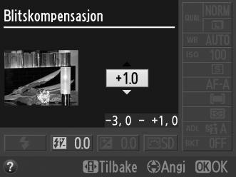 Blitskompensasjon Blitskompensasjon brukes for å endre blitsstyrken fra det nivået som foreslås av kameraet, og dermed endre hovedmotivets lysstyrke i forhold til bakgrunnen.
