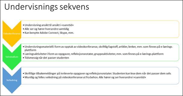 Del 1 består av en «videokonferanse». Vi har ikke sett at det andre steder i søknad eller andre dokumenter er beskrevet når denne undervisningen skjer.