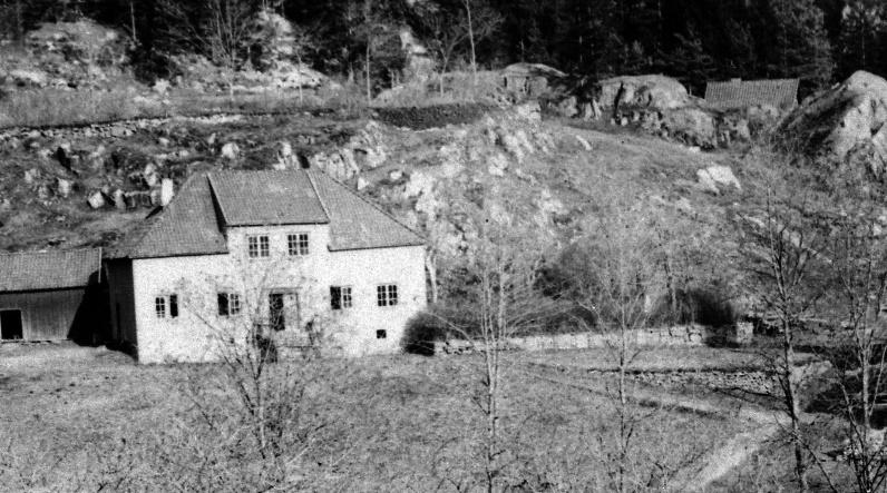 Hagen ved den gamle forvalterboligen (AID 86950-84) Den gamle forvalterboligen. Muren med steinplatene danner forstøtning for hagen på sørsida av huset. Et større tre (ant.