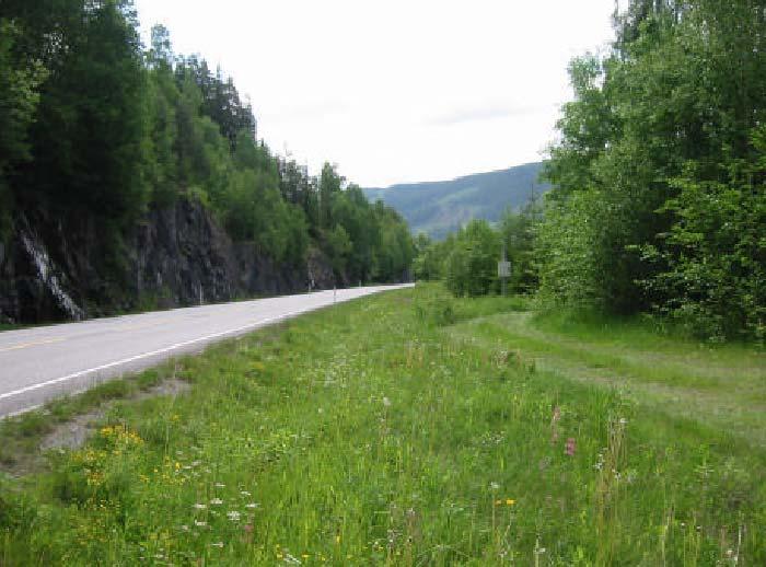 87 Klimator har i sin rapport påpekt at stasjonen er plassert for langt fra vegen og at mikroklima blir feil i forhold til situasjonen langs vegen.