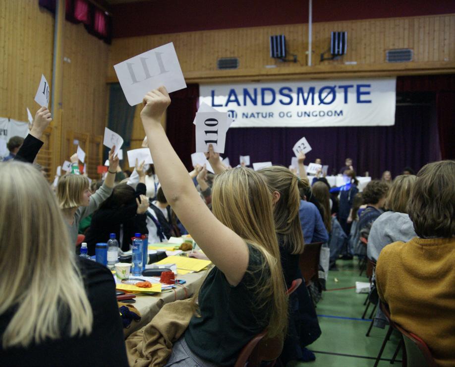 LM: Landsmøtet. Natur og Ungdoms høyeste organ og årets happening! LS: Landsstyret. Det består av fylkeslederne. Dette er NUs høyeste organ mellom landsmøtene. NTP: Nasjonal transportplan.