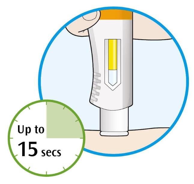 3. Press ned og hold pennen godt mot huden din Det vil komme et klikk når injeksjonen starter. første klikk! 4. Fortsett med å holde pennen godt mot huden din Vinduet vil begynne å bli farget gult.