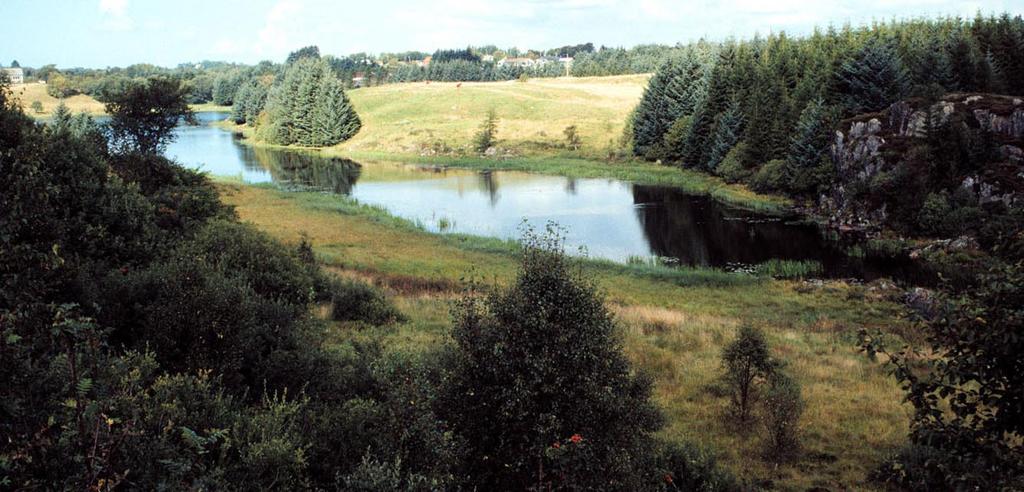 Figur 4.5. Oversiktsbilde av myrområdet mellom Mykingsvatnet og Kvalheimsvatnet. Figur 4.6. Solevatnet vurderes å vare den ferskvannsvåtmark i Austrheim kommune som har størst artsdiversitet.