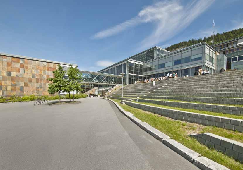 Høgskolen i Lillehammer Forskning og utviklingsarbeid 2009 juss, samfunn, økonomi,