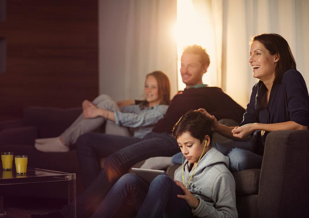 TIL STYRET Våre tv-vaner er i endring, men 9 av 10 bruker fortsatt tv-en som en viktig del av sitt daglige underholdningstilbud.
