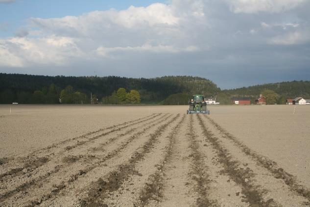 synker sammen Sjelden tørt nok i djupere lag Tyngdekraften gjør at regn/vatningsvatn renner nedover