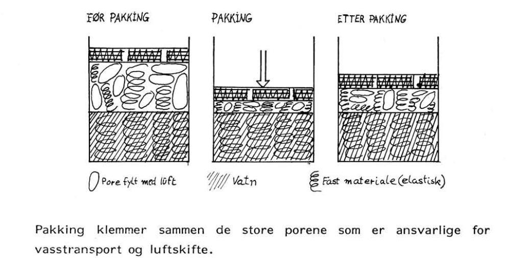 Det er de store porene som forsvinner Fig til høgre på jord med mye mold og leire, kan