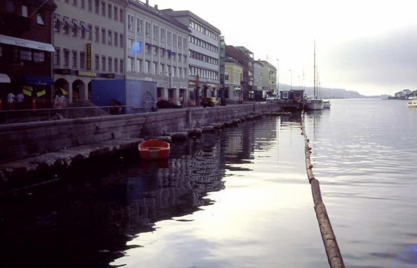 Pollen, Arendal 1994 2.