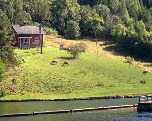 Kanalpakketips Sju svingar opp Dalen Hotel Du køyrer: sju svingar opp så har du køyrt Skafsåberget.