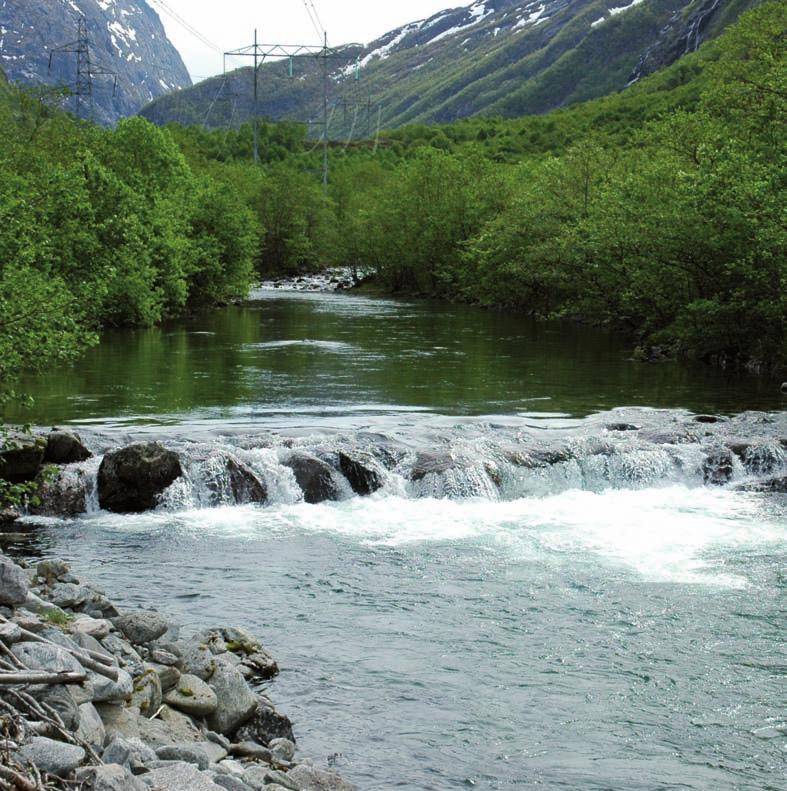 Evaluering av terskler som avbøtende tiltak i et utvalg vassdrag i Midt- og Vest-Norge Jo Vegar Arnekleiv, LFI-NTNU Gunnar