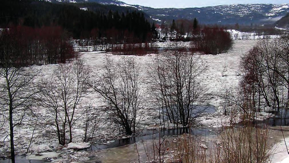 Nedre del av en ispropp i Glomma etter vinterisgang i Atna.