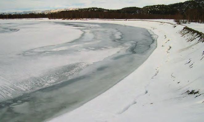 For at det skal gå vårisgang i en elv må det være tilstrekkelig med vann og is i vassdraget. Snøsmeltingen og tilsigsøkningen må ha kommet godt i gang.