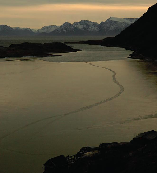 tur og saltholdighet, men saltholdigheten betyr mest for tettheten. Ved samme temperatur øker tettheten med stigende saltholdighet. Frysepunktet synker med økende saltholdighet.