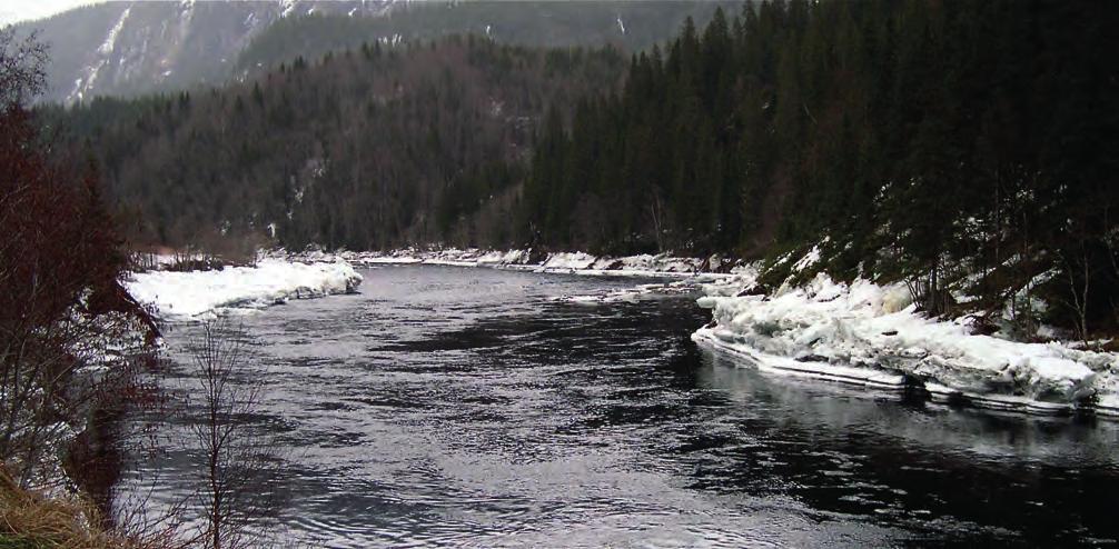 Det er nå sjeldenere isproblemer her. Nedenfor Nedre Fiskumfoss kraftverk har vintervannføringen også økt, og det kan fortsatt være store isproblemer.