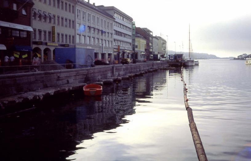 Pollen, Arendal 1994 27.