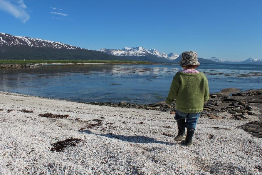 Det er derfor viktig at kyst- og strandsonen kartlegges som grunnlag i kommunenes areal- og kystsoneplanlegging.