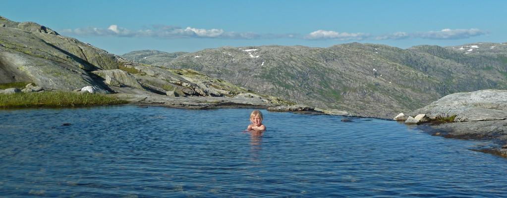 Konklusjon Natur- og friluftslivsverdiar er allmenne interesser Politikarane i KURE har eit rettsleg ansvar for å bevare ein frisk natur og biologisk mangfald i