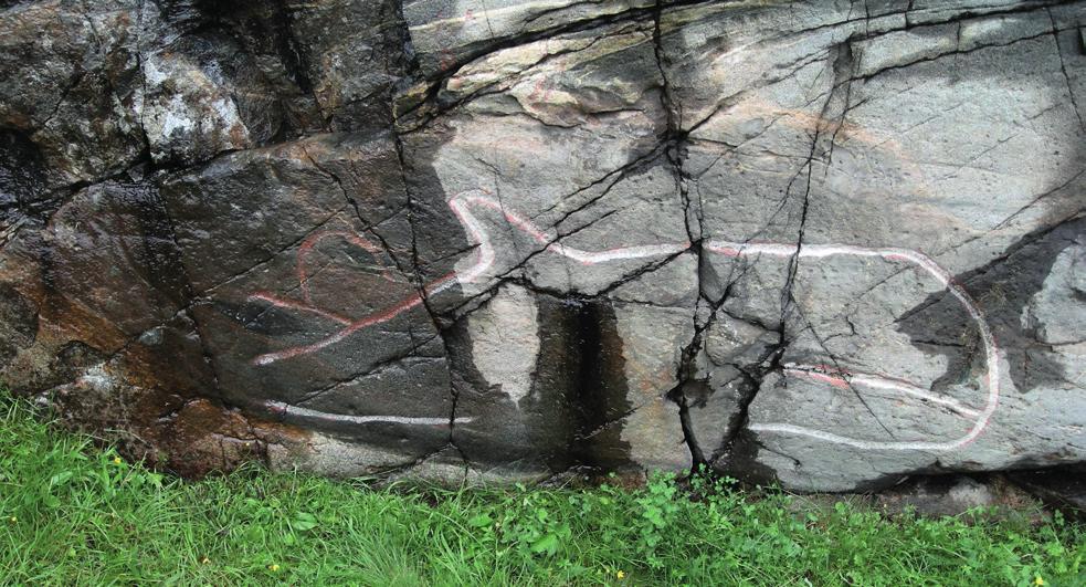 Riksantikvarens bevaringsprogrammer BERG Bevaringsprogrammet for bergkunst. Bergkunsten i Norge finnes i alle landsdeler og er hovedsakelig fra steinalder og bronsealder.