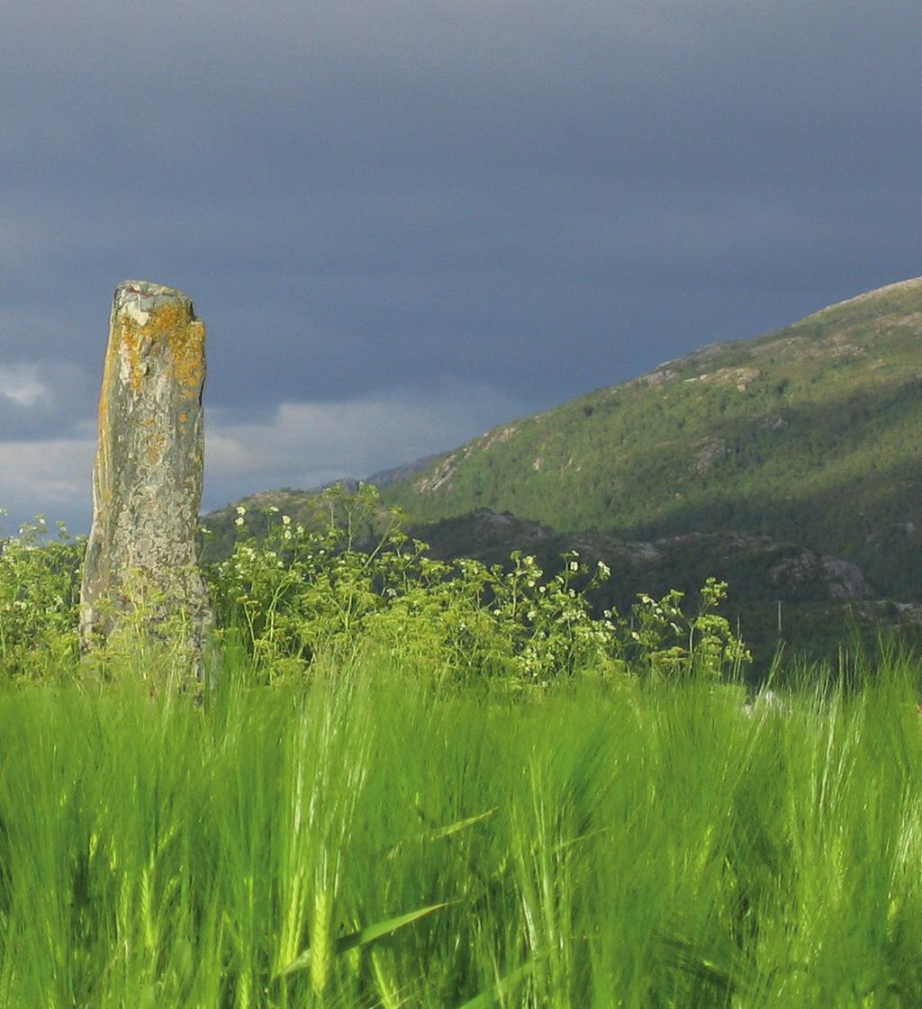 4. Vedlegg Bautastein i Fevåg,