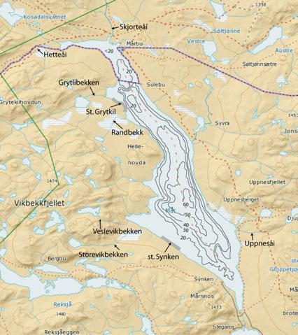 2.1.1 26B26B26BMår Mår har en reguleringshøyde på nær 21 m (1100 1121) og et areal på 20,5 km². Statkraft har laget et detaljert dybdekart over Mår som her er vist i forenklet utgave (Figur 3).