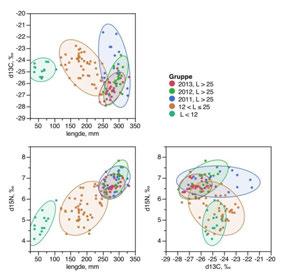Figur 27. Stabile isotop analyser (SIA) for fisk fanget i juni og september 2011-13.