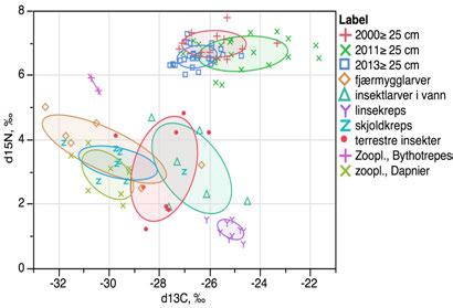Figur 28. Diagram over stabile C og N-isotoper for fisk som var større enn 25 cm og for de viktigste næringsdyrene for denne størrelsesgruppen av fisk. 4.