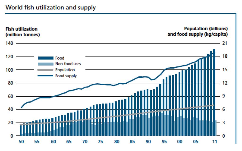 Bakgrunn for en miljørapport Verdens befolkning har aldri økt så raskt som den gjør i dag.