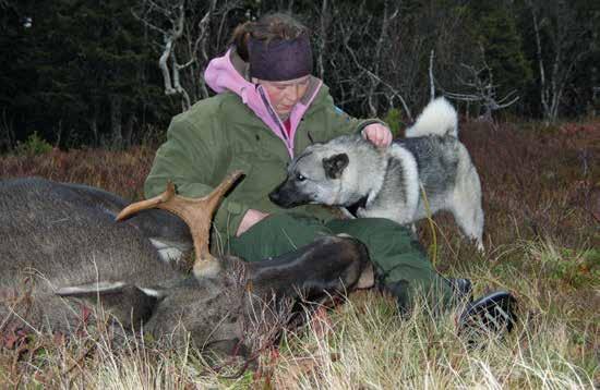 Foto: SKG Relevante nettsteder Hjorteviltregisteret: www.hjorteviltregisteret.no Miljødirektoratet: www.miljodirektoratet.no Norsk institutt for naturforvaltning: www.nina.no Naturdata as: www.