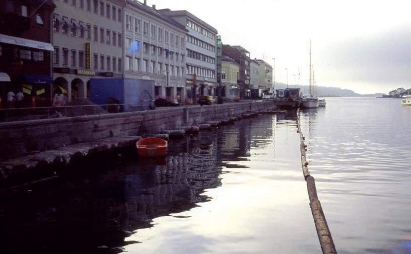 Pollen, Arendal 1994 2.