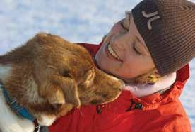 Ved Villmarkssenter står ivrige huskyer klar foran sleden og venter på å ta oss gjennom det frosne landskapet med utsikt til både hav og fjell.