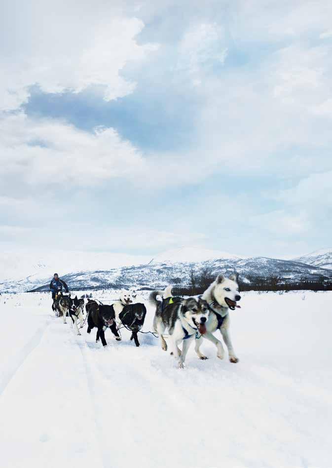 Welcome - Willkommen - Bienvenue VELKOMME Hurtigruten blir kalt verdens vakreste sjøreise, og reisen din blir enda mer uforglemmelig hvis du deltar på en eller flere av de spennende utfluktene våre.