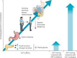 Lancet 2009;373-438-9 Dungan et al.