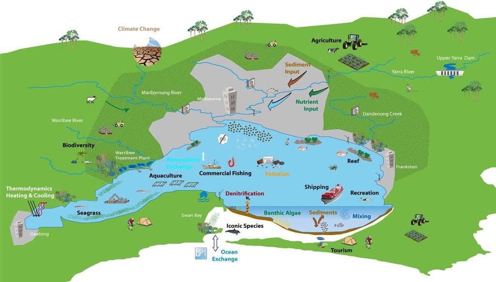 Eksempel:Port Phillip Bay, Victoria (AU) økosystem-regnskap Ecosystem assets Seagrass Saltmarsh Reef Sediments Ecosystem services Denitrification