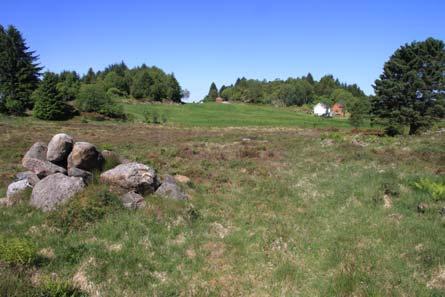 Store deler av traséområdet er uten inngrep Kystmyr innenfor tiltaksområde 2b Traséområdet ved Hopland Førlandsvatnet sett fra sør Figur 4-3 Fotoillustrasjoner fra trasé- og tiltaksområdene (foto