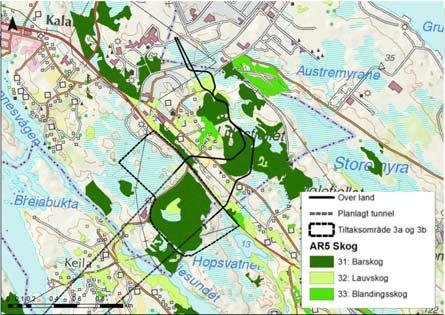 kan hindres lokalt i en kortere periode. Anleggsvei, graving og midlertidig lagring av masser på dyrket mark vil også føre til midlertidige arealbeslag.