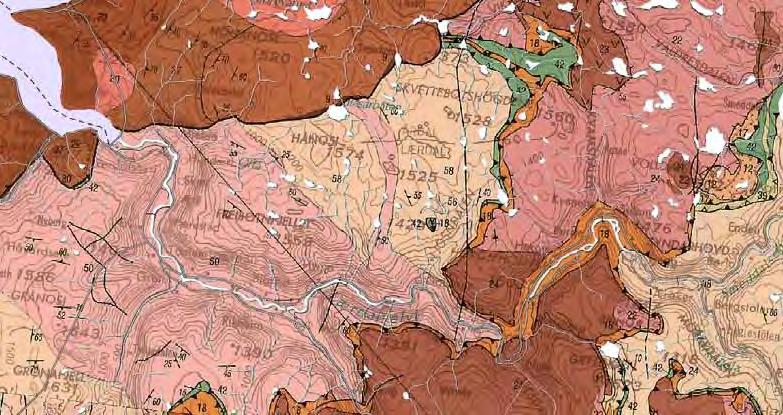 Ev16 Tønjum Ljøsne i Lærdal kommune, kommunedelplan, geologisk vurdering 5 Freibotnfjellet Granittisk gneis N Figur 1 Planområdet Utsnitt frå NGU berggrunnskart 4.