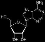 BOOSTER 4/iperblock DEPIGMENTING ACTION Iperblock, known as ARBUTINA, a natural hydroquinone derivative present in the ursina grapes leaves, diminishes skin spots and regulates the