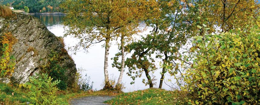 Sorg og omsorg Førebuing til gravferda Eit gravferdsbyrå kan hjelpe dykk med det praktiske omkring gravferda. De kan bestemme kva de vil gjere sjølve, og kva de ønskjer byrået skal hjelpe til med.