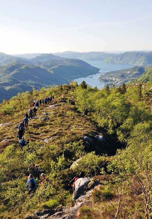 Vern om naturgleden Norske landskap har store variasjoner fra nord til sør, fra kyst og fjord til innlandsdaler og fjellvidder.