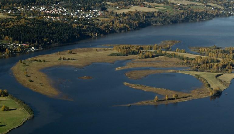 Særtrekk ved norsk