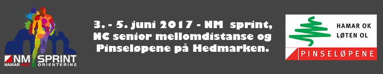 INNHOLD / KOMPLETT SAKSLISTE 1. VALG AV DIRIGENT, SEKRETÆR OG TO TIL Å MEDUNDERTEGNE PROTOKOLL 2. ÅRSMELDING 2016 2.1 Styrets sammenfatning 2.2 Administrasjon 2.3 Priser, premier og utmerkelser 2.