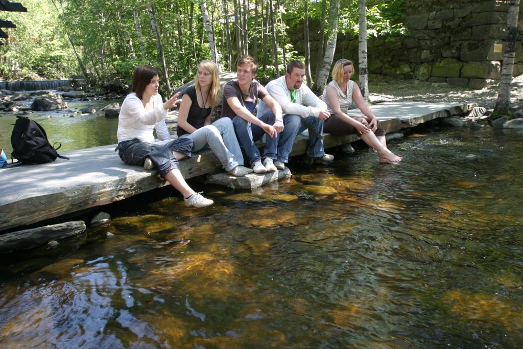 Informasjon om kultur- og fritidstilbud / kurs og treningstilbud. I denne brosjyren finner du ulike tilbud og kurs innenfor kultur og fritid i Lillehammer vinteren/våren 2013.