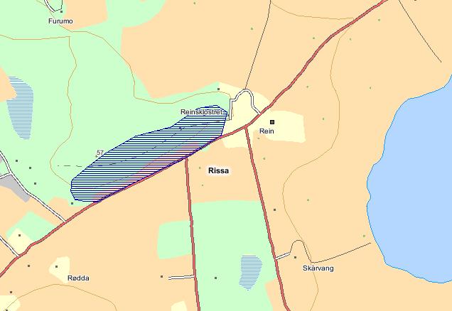 Forvaltningsplan Rissa kommune : Reinshaugen 1. Områdebeskrivelse/status Gnr/ FS-nummer Sikrings Bnr naturbase.