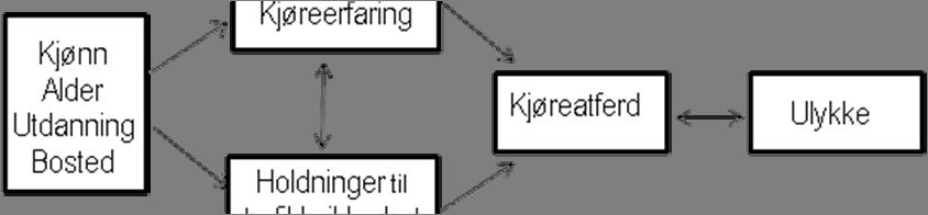 46 Vi har imidlertid ikke satt oss som mål å undersøke alle variabler som er oppsummert.